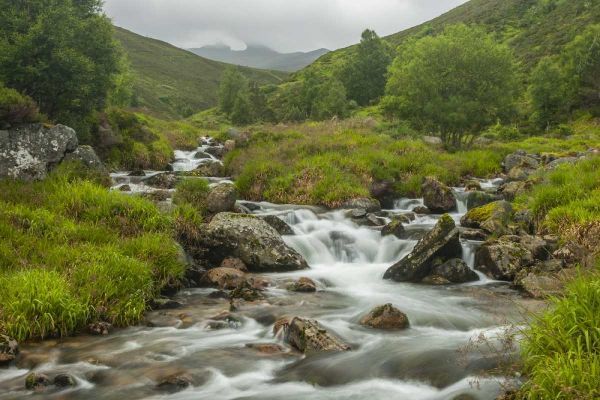 Scotland, Cairngorm NP Mountain stream cascade